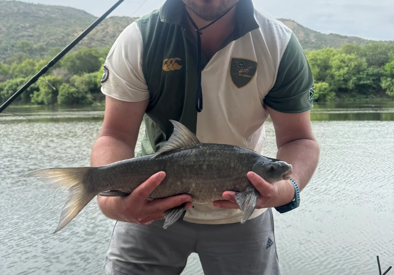 Orange river mudfish