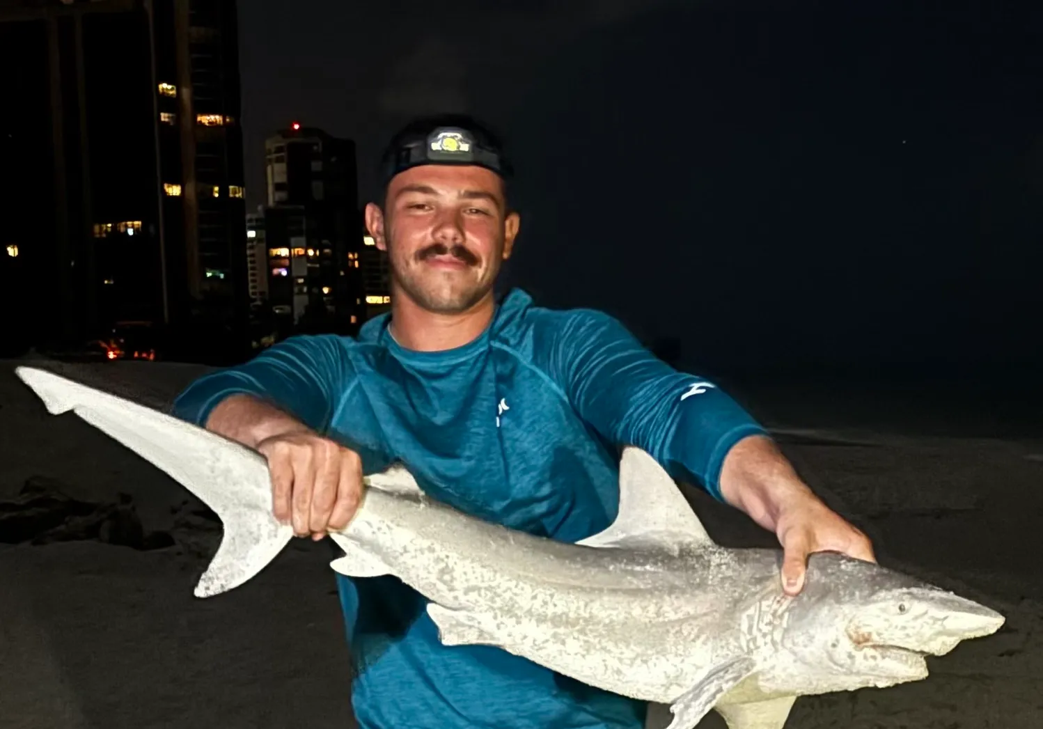 Atlantic sharpnose shark