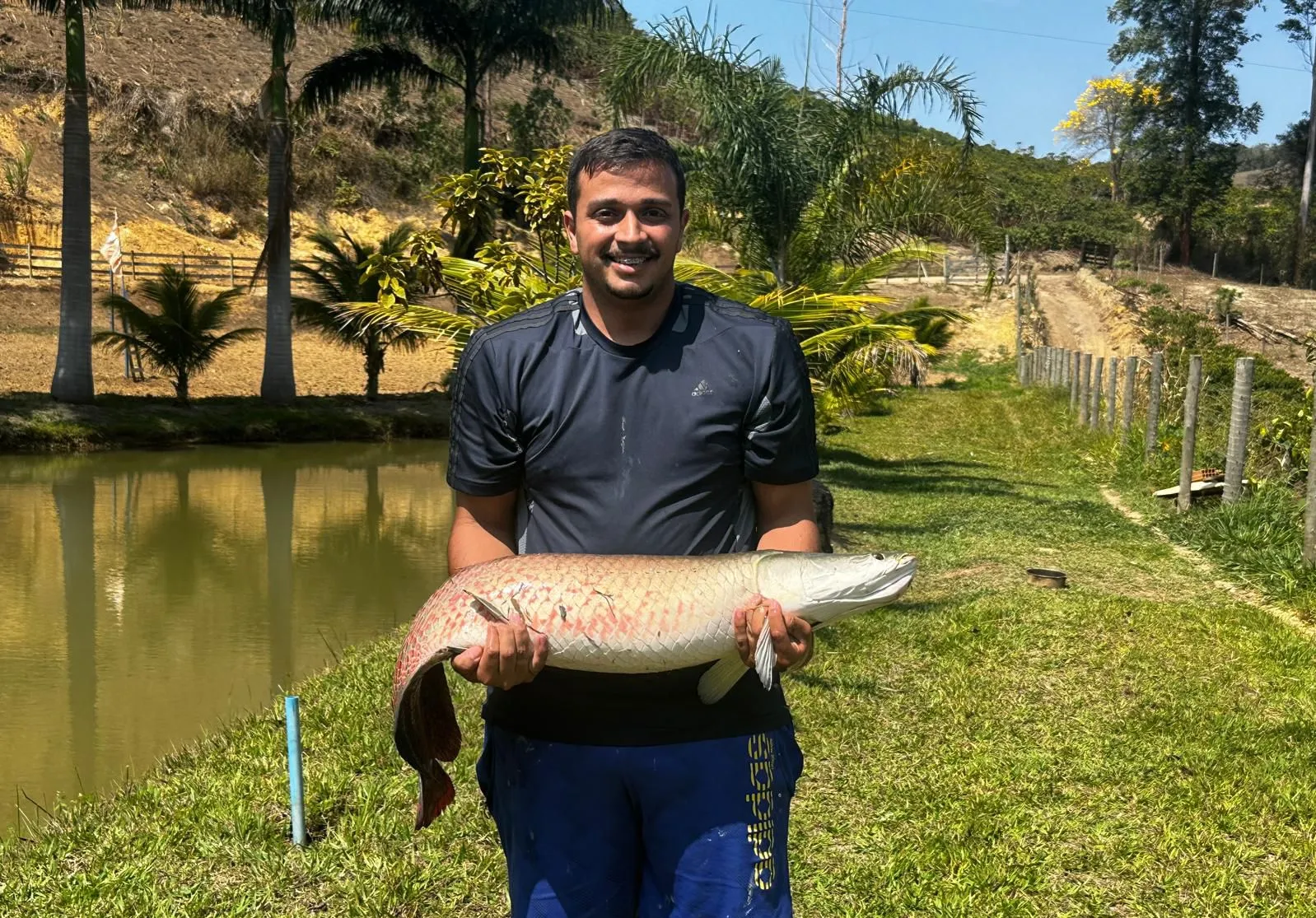 Arapaima