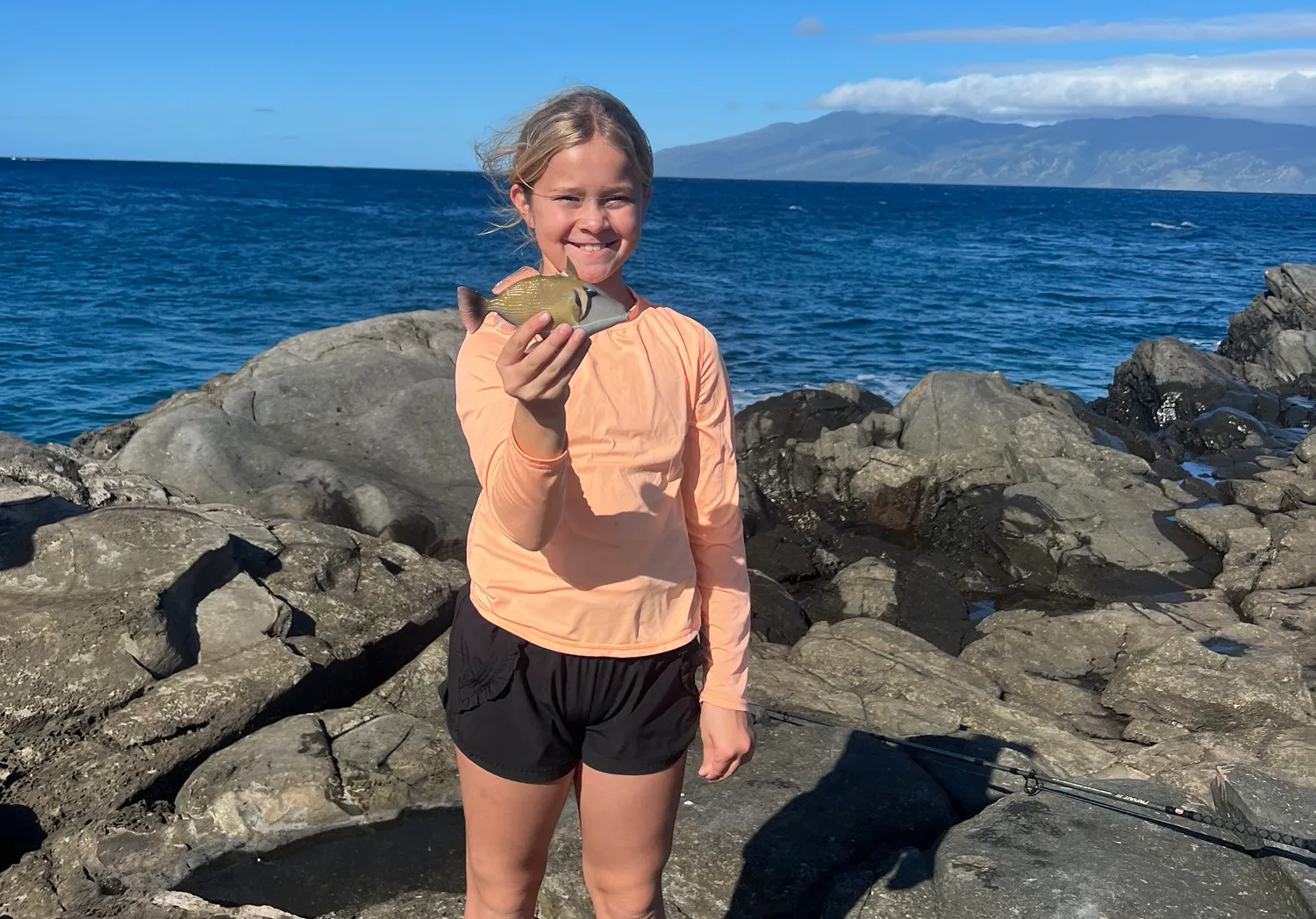 Wedge-tail triggerfish