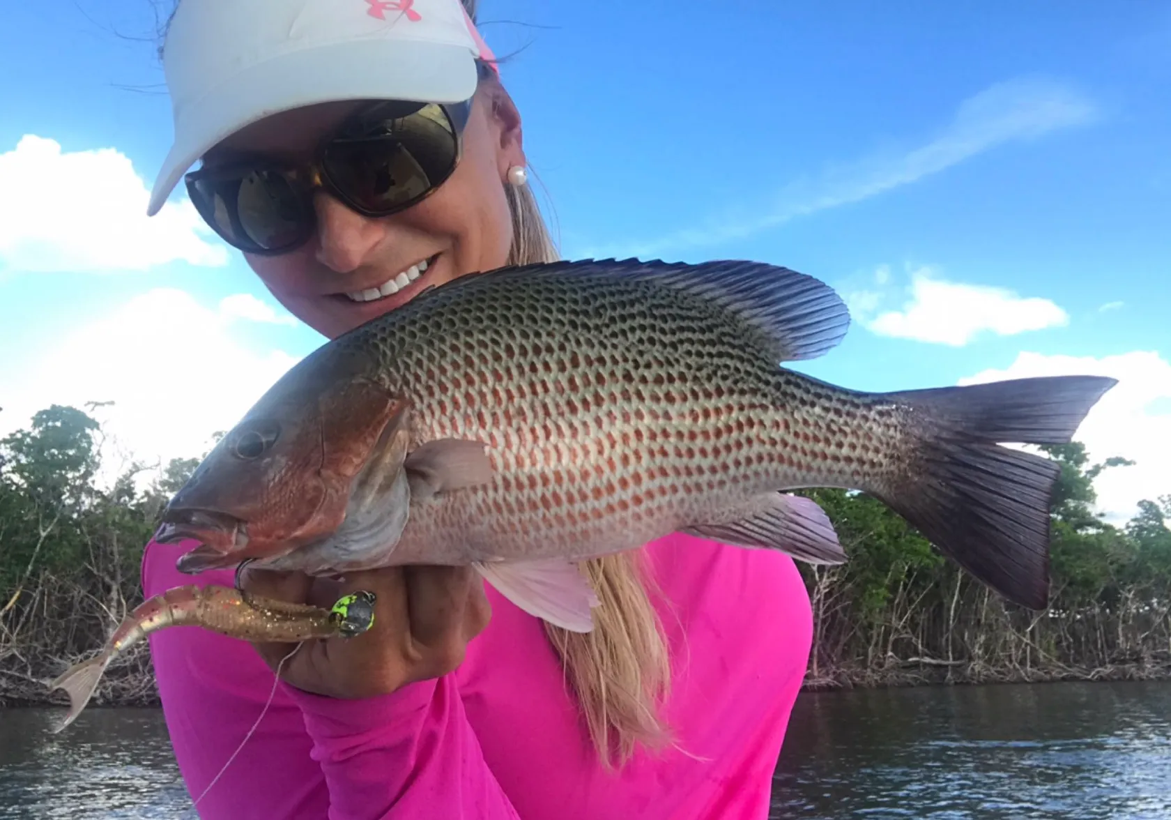 Mangrove snapper