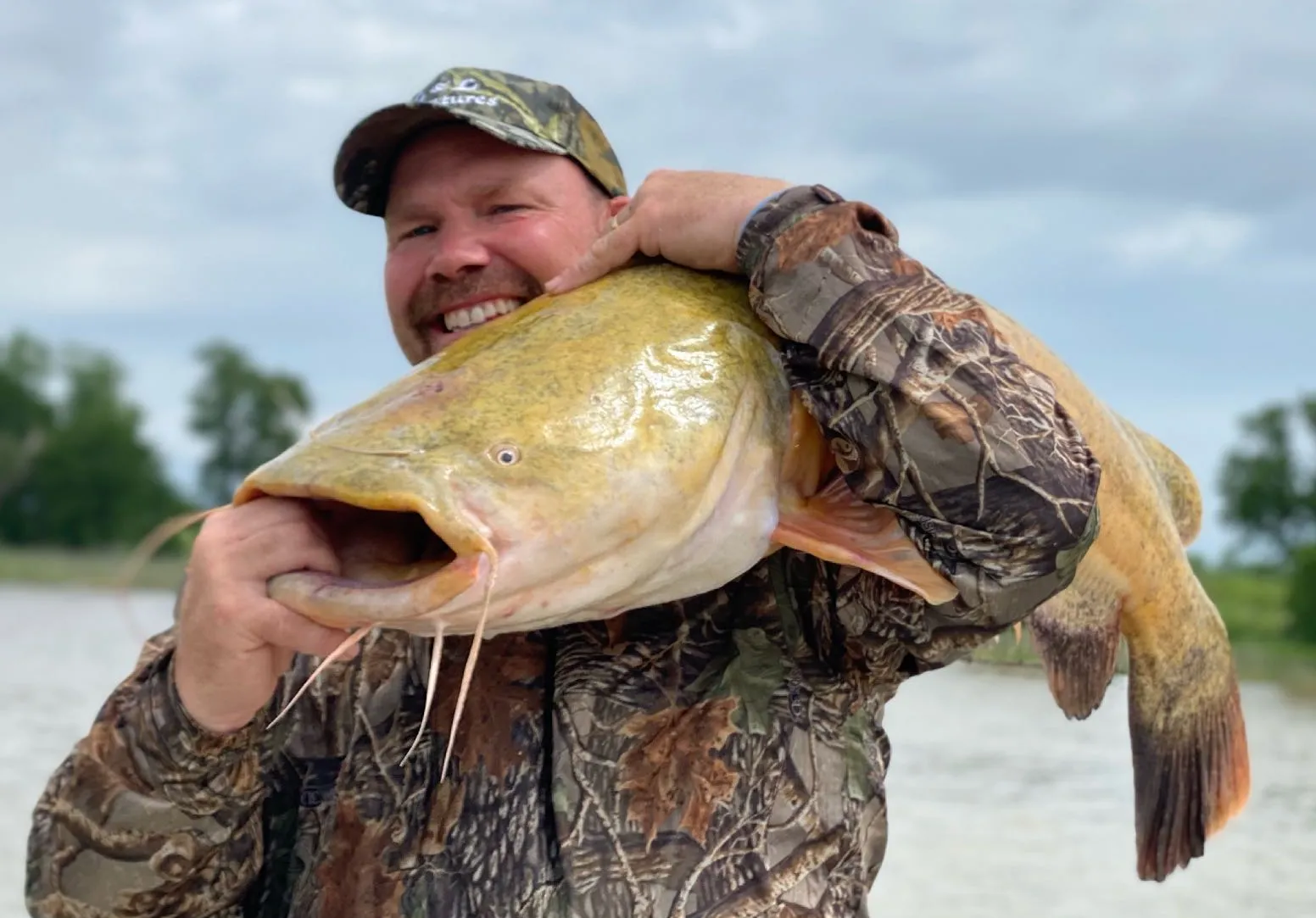 Flathead catfish