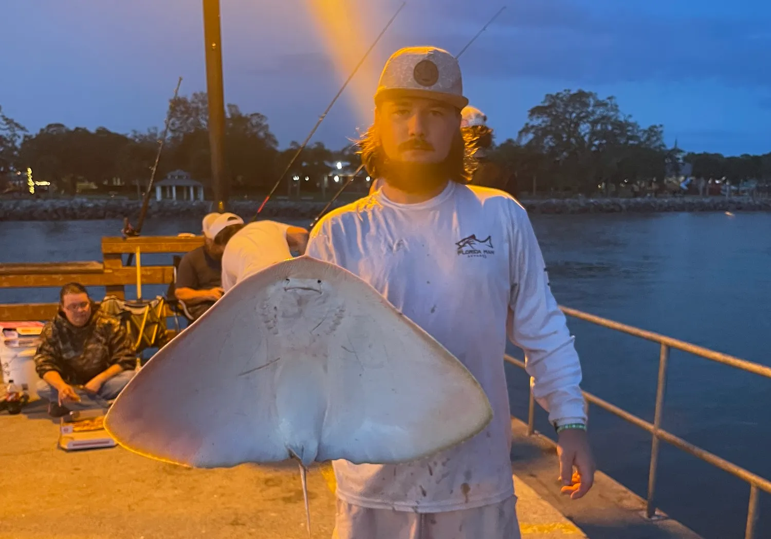 Spiny butterfly ray