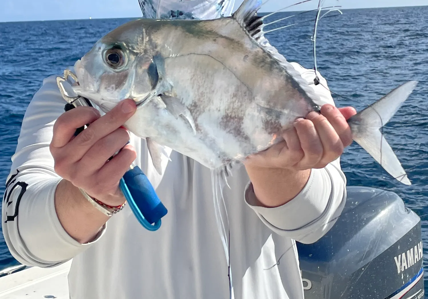 African pompano