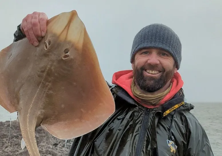 Small-eyed ray