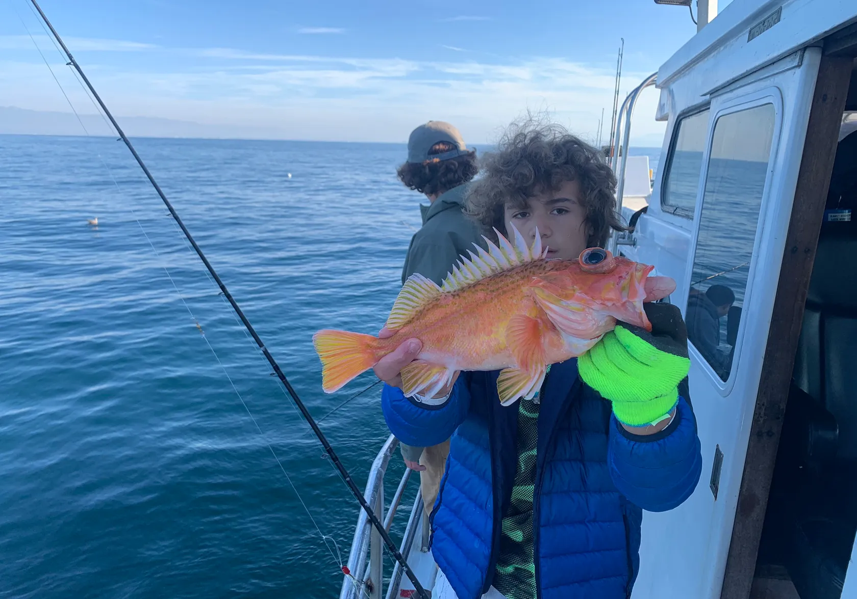 Greenspotted rockfish