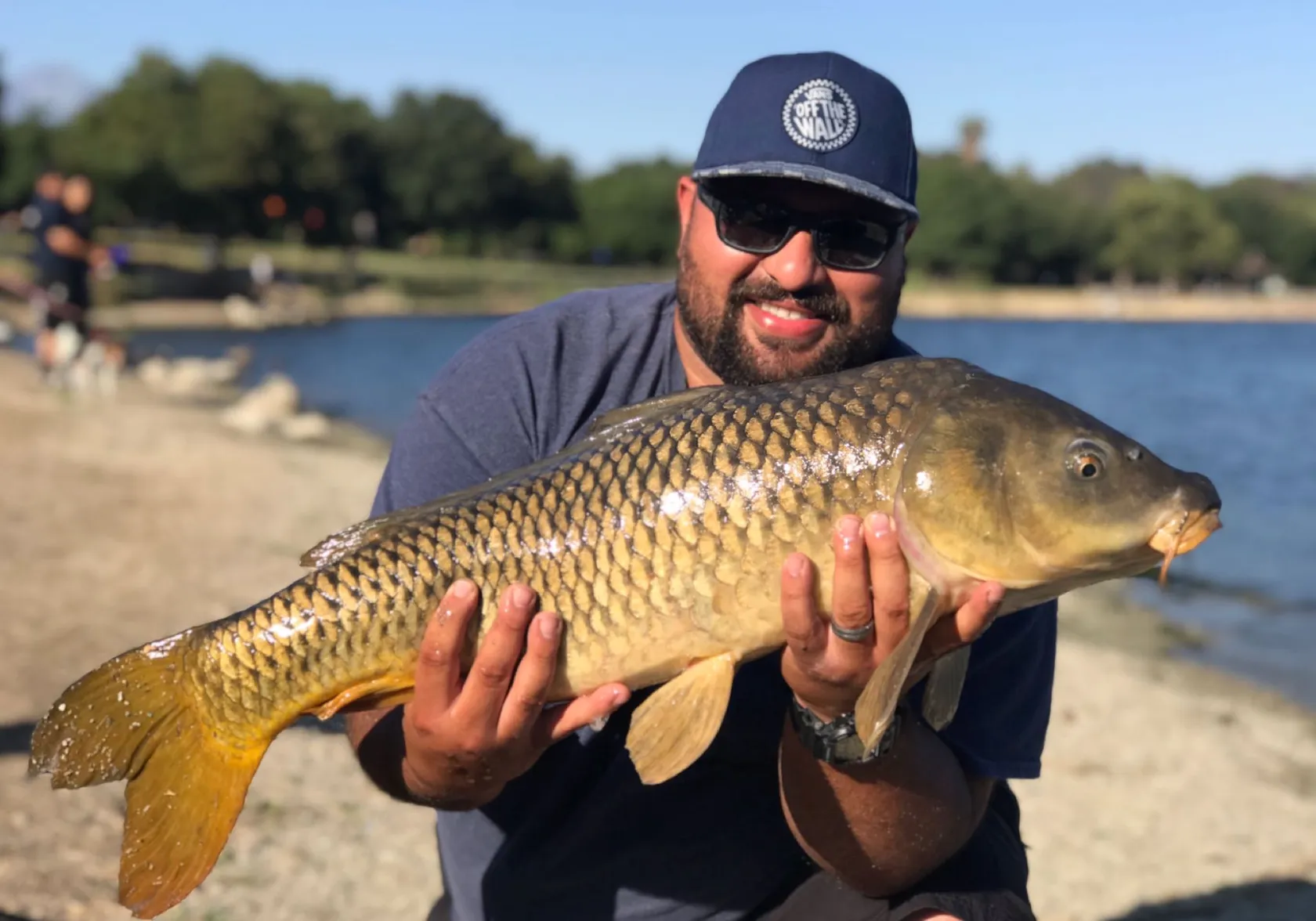 Common carp