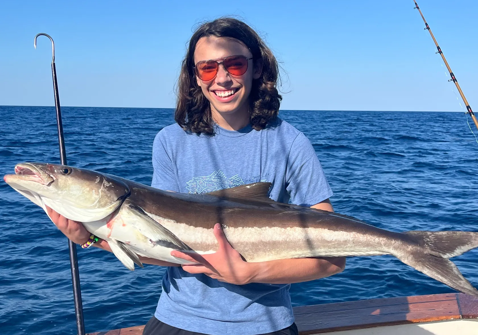 Cobia