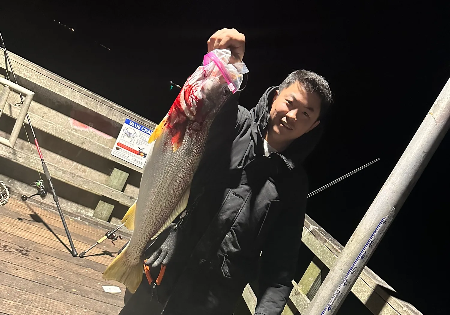 Gray weakfish