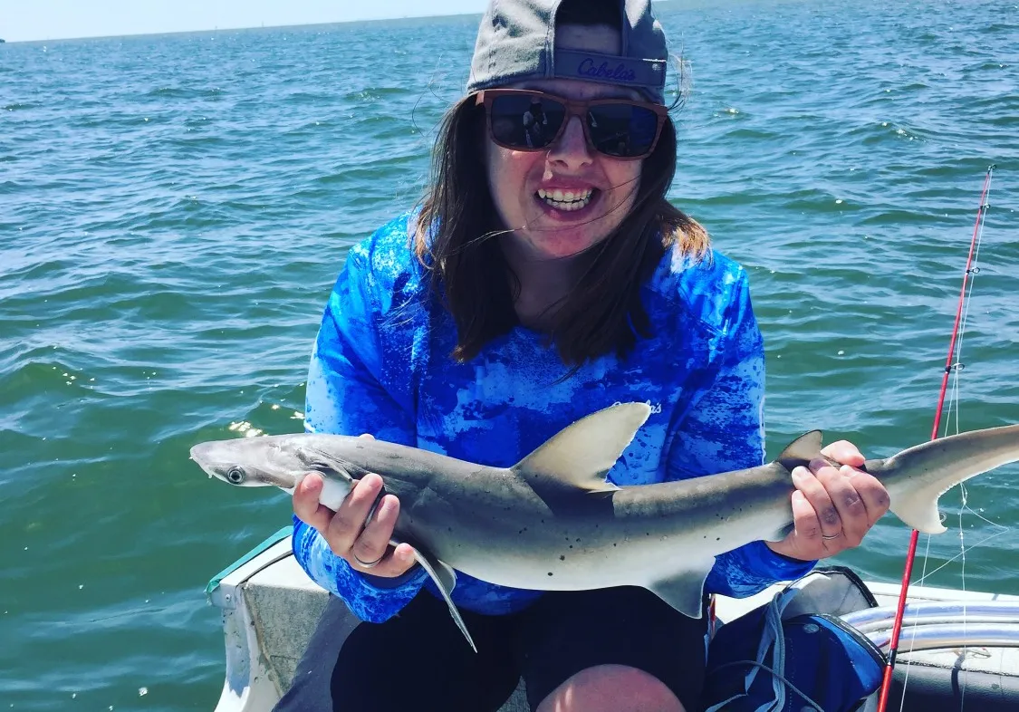 Bonnethead shark