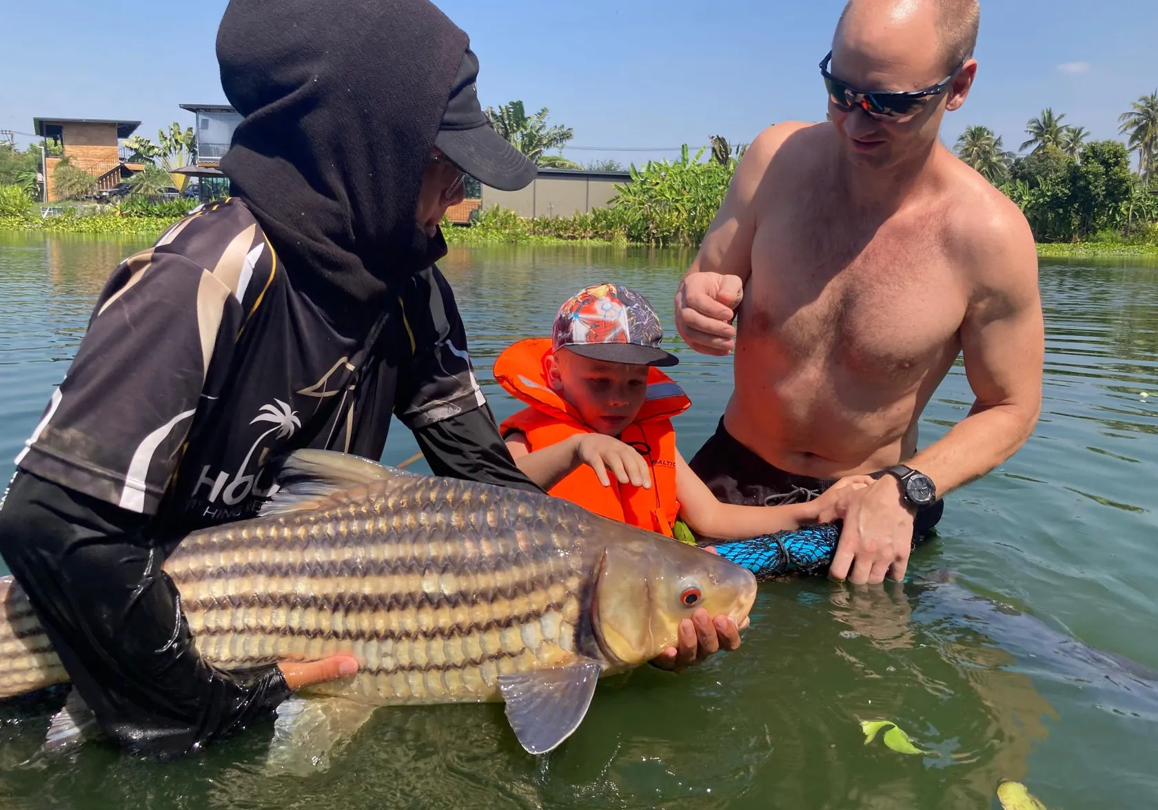 Julian's golden carp