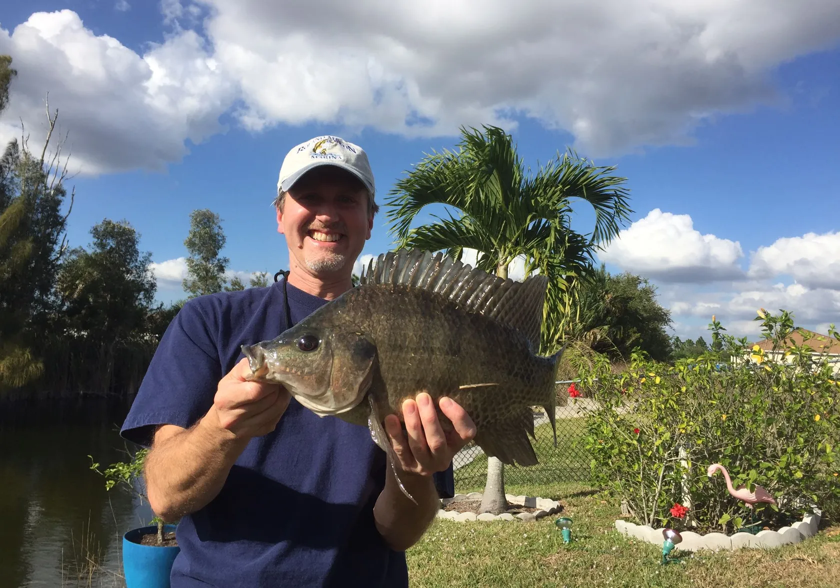 Nile tilapia