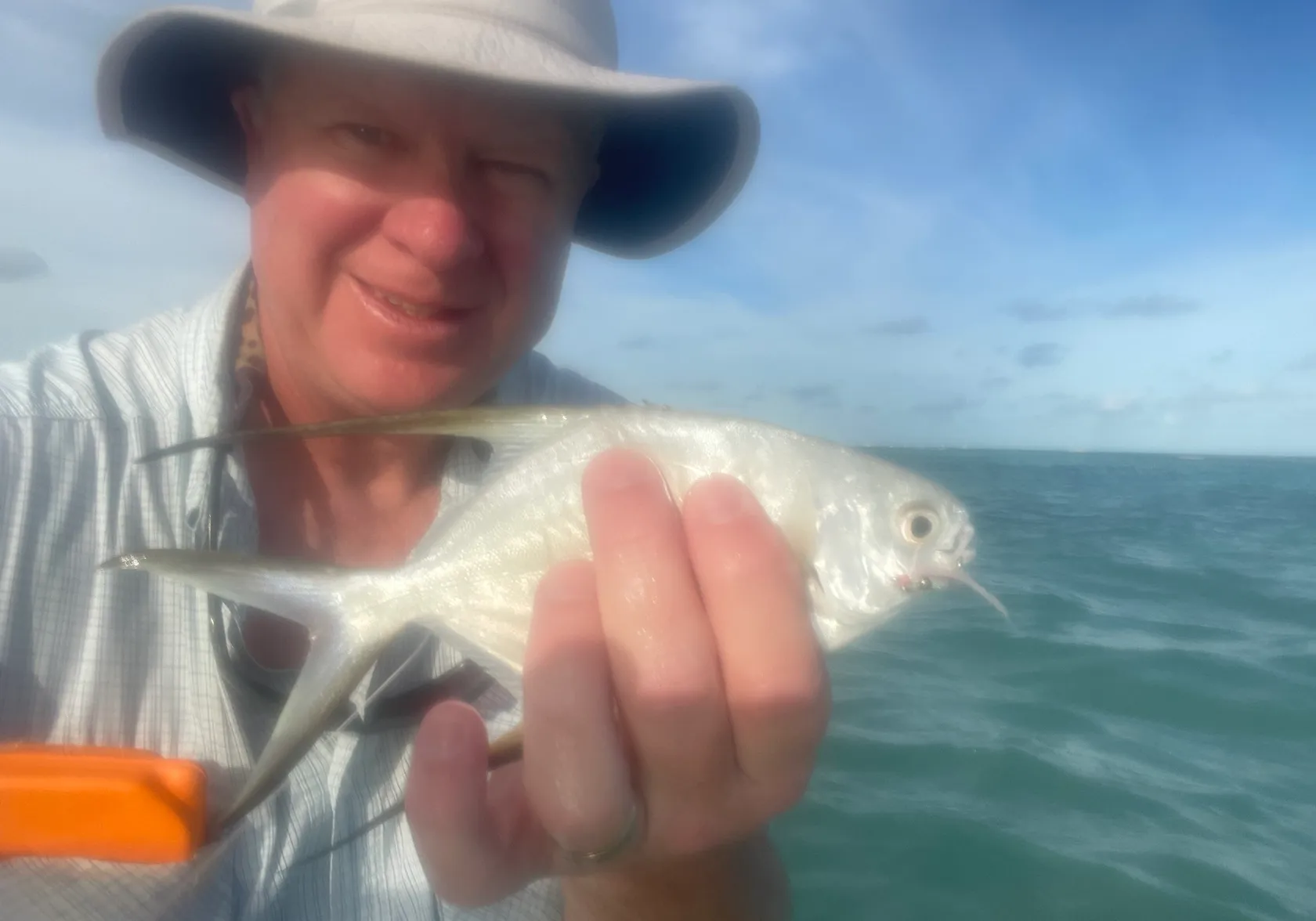 Palometa