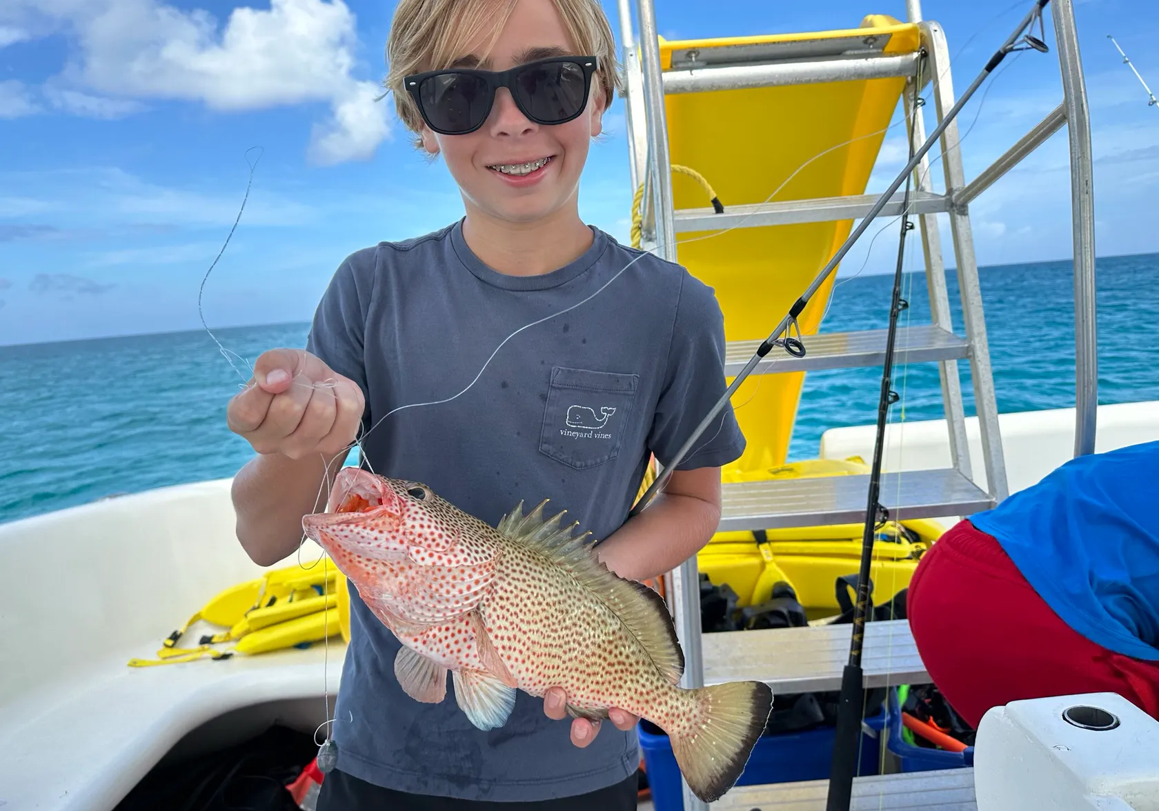 Red hind grouper