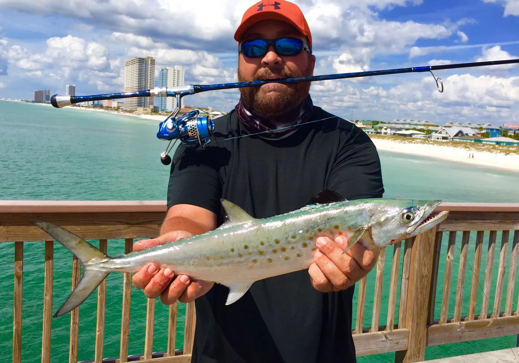 Spanish mackerel