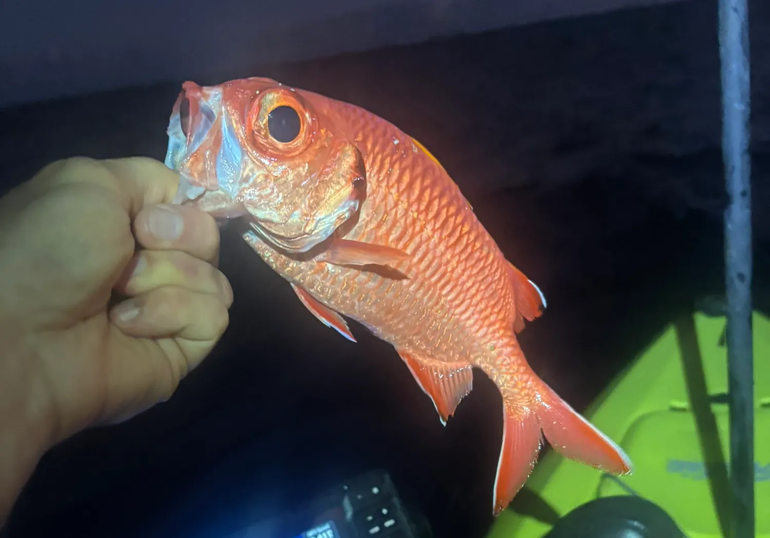 Blotcheye soldierfish