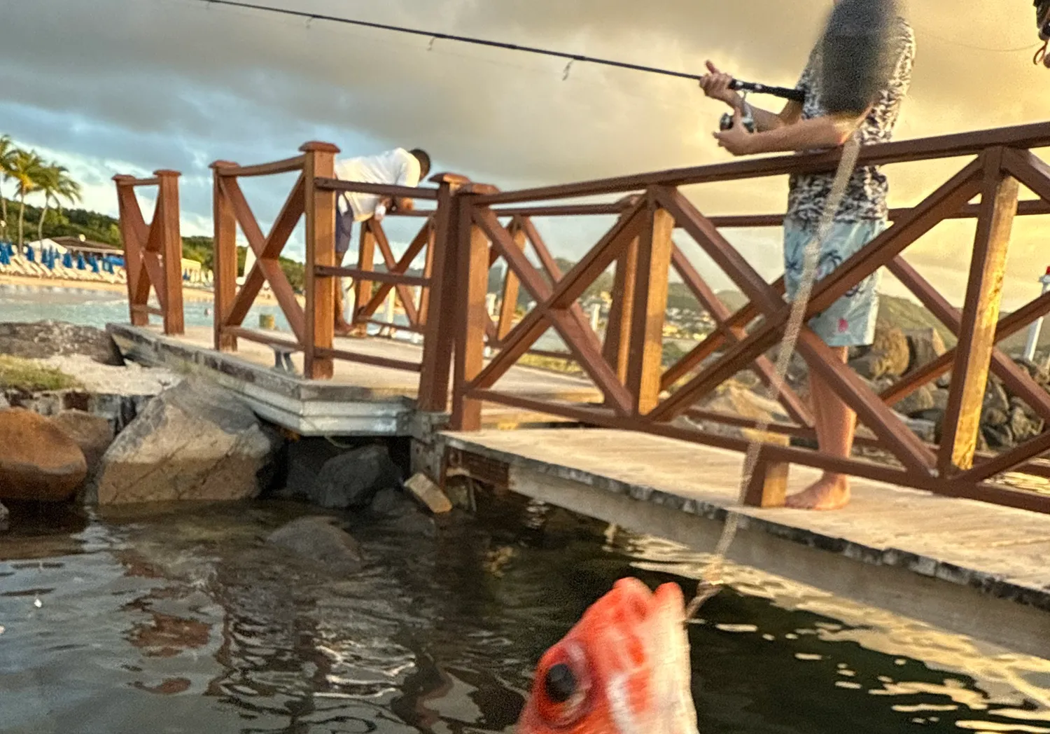 Longspine squirrelfish