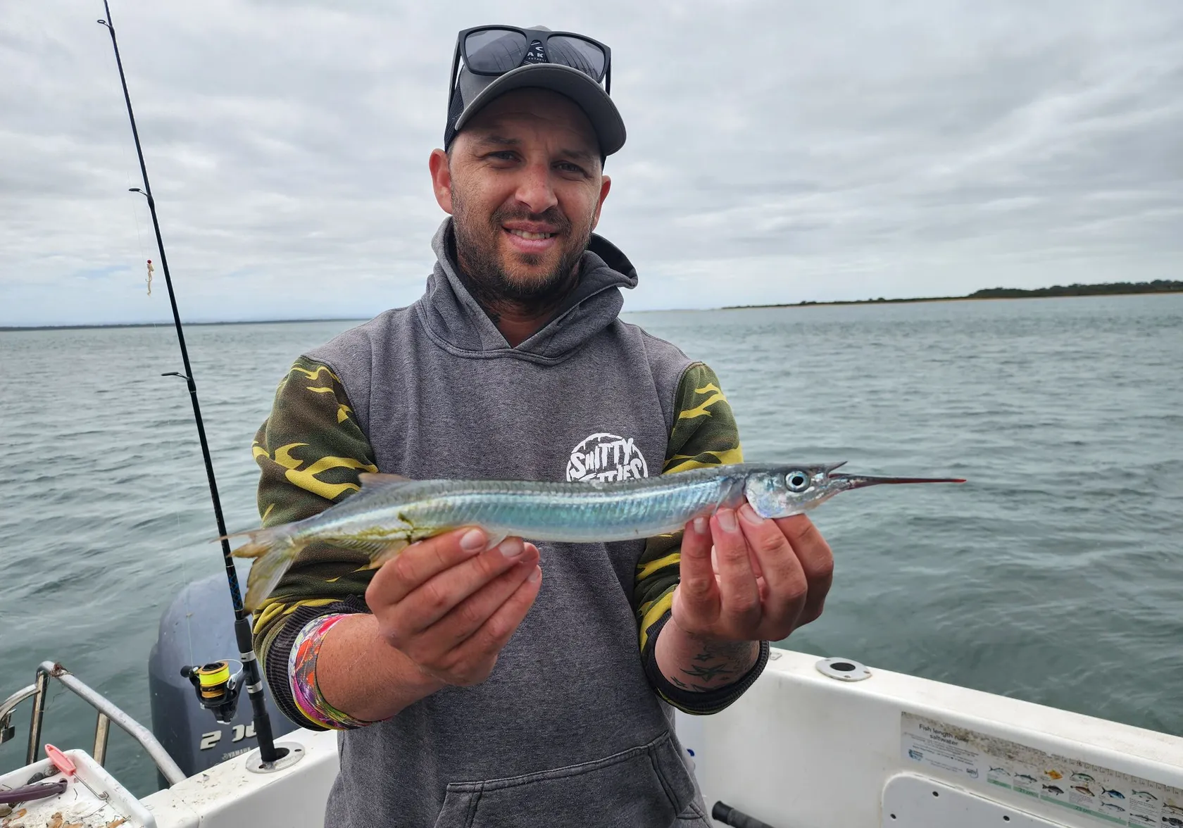 Southern garfish