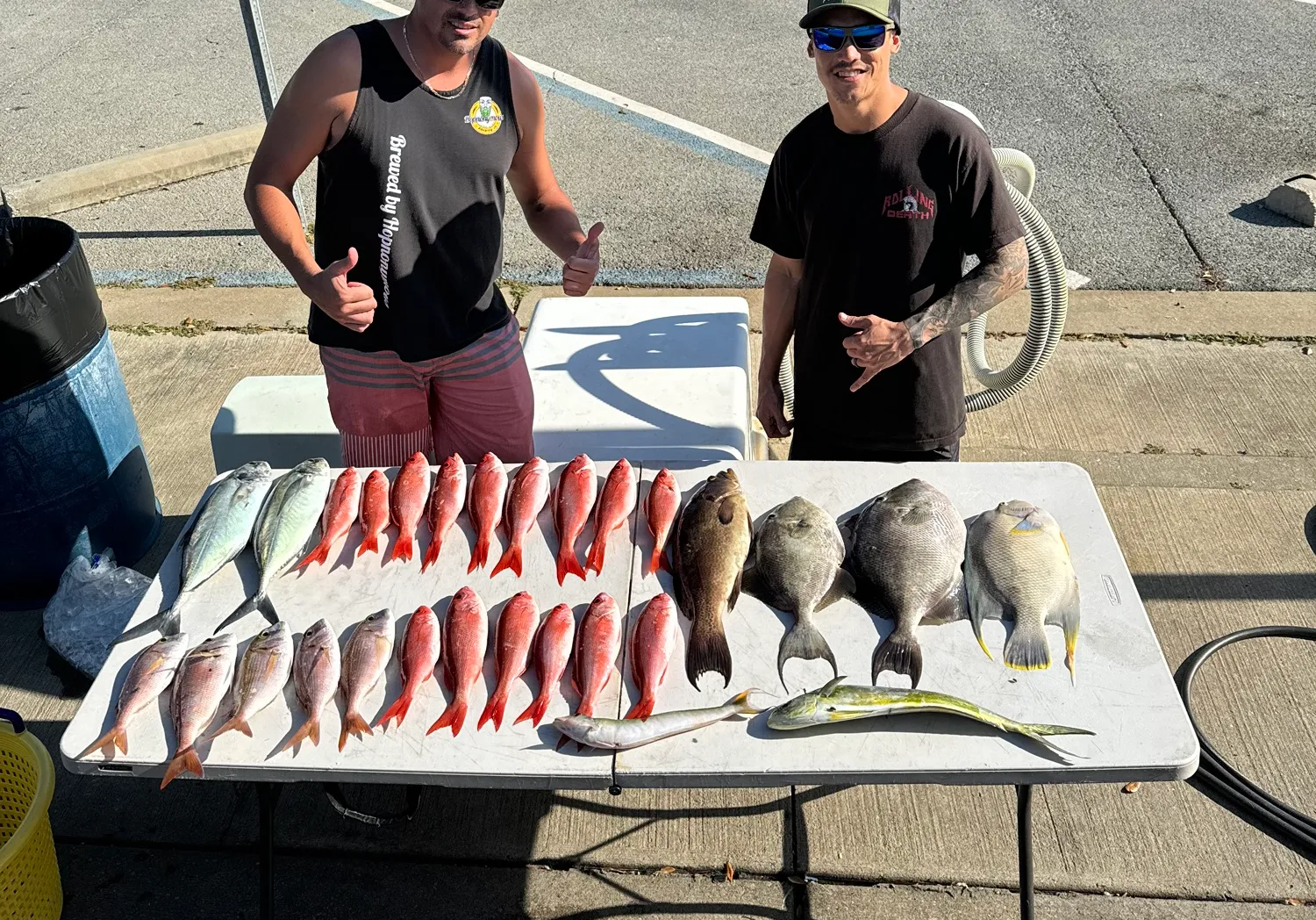 Sand tilefish