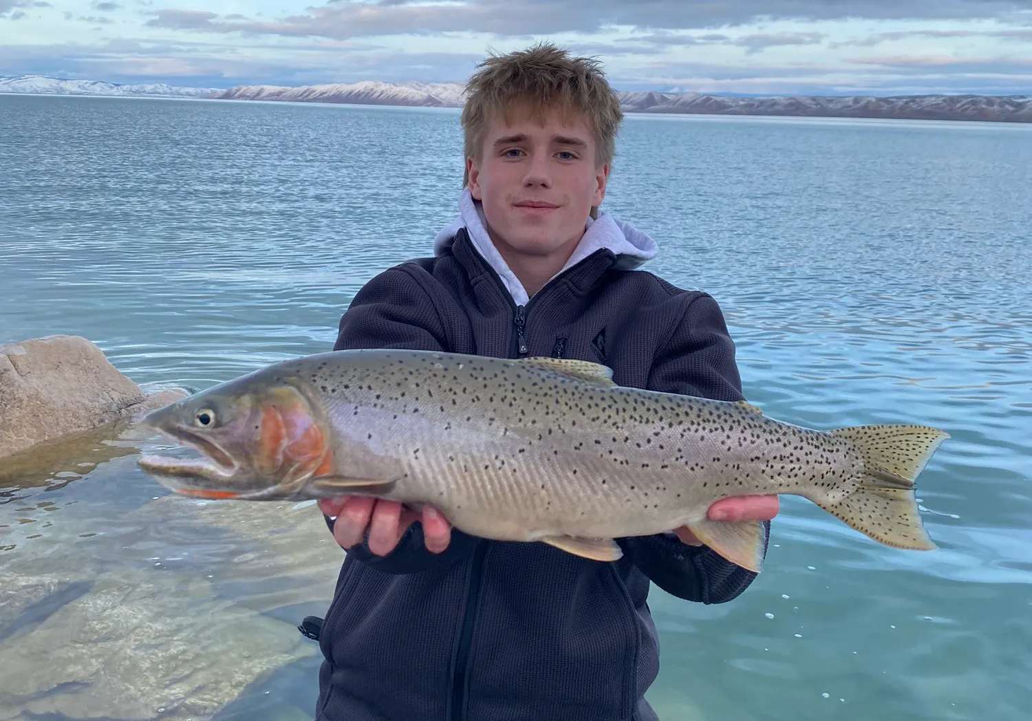 Bear lake cutthroat trout