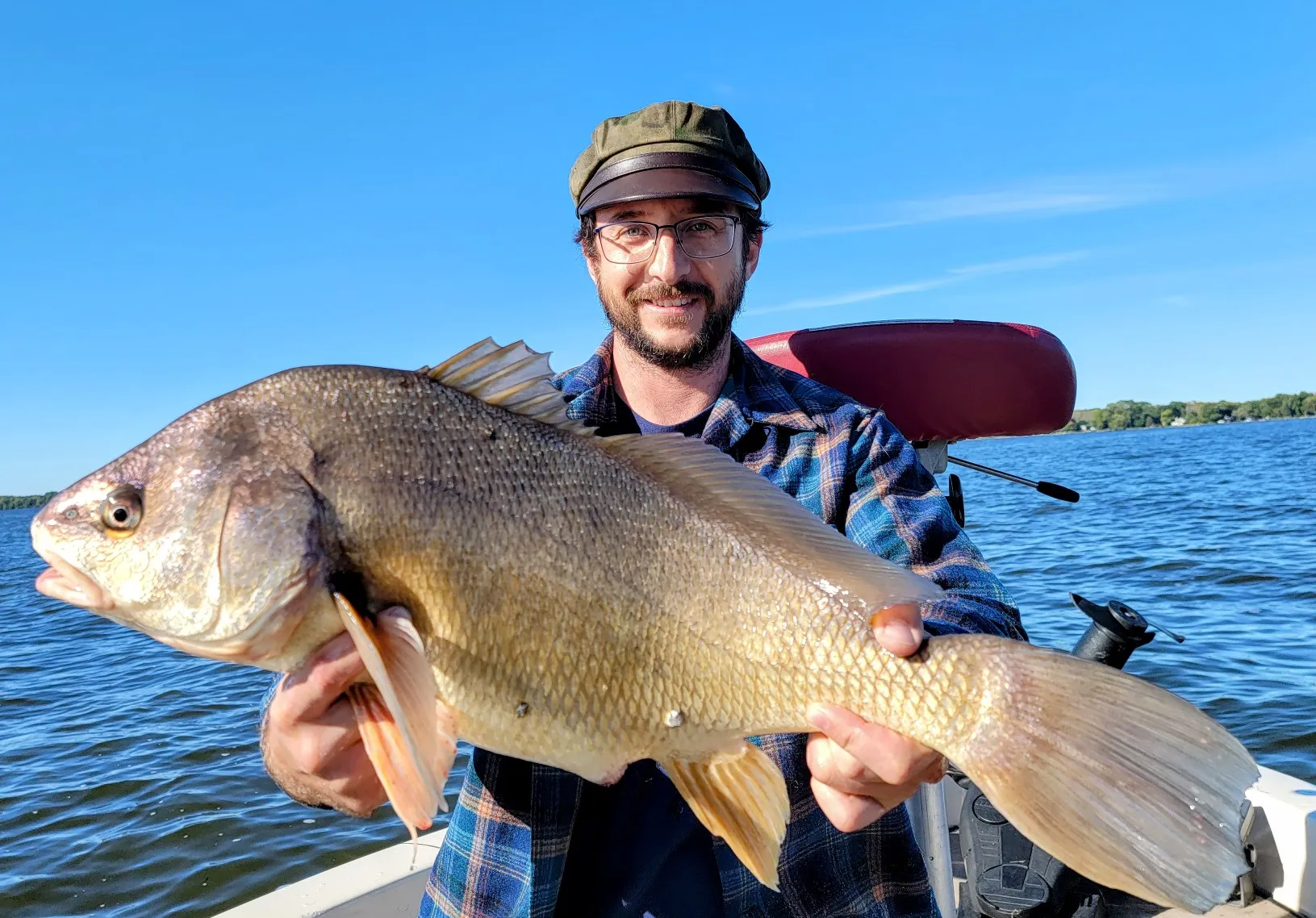 Freshwater drum