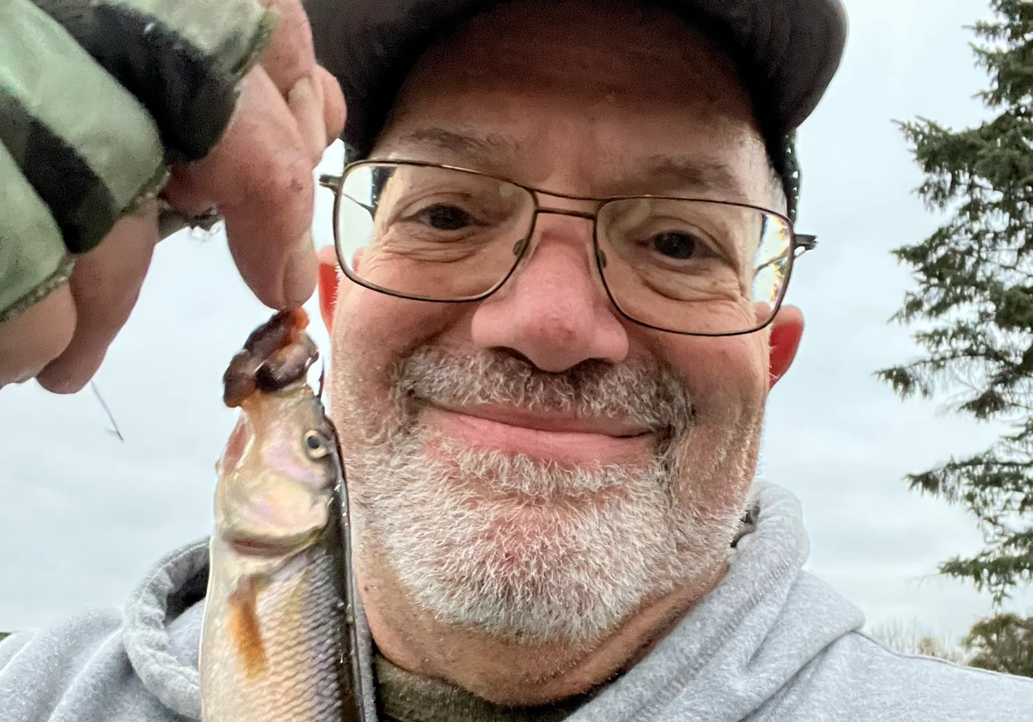 River chub