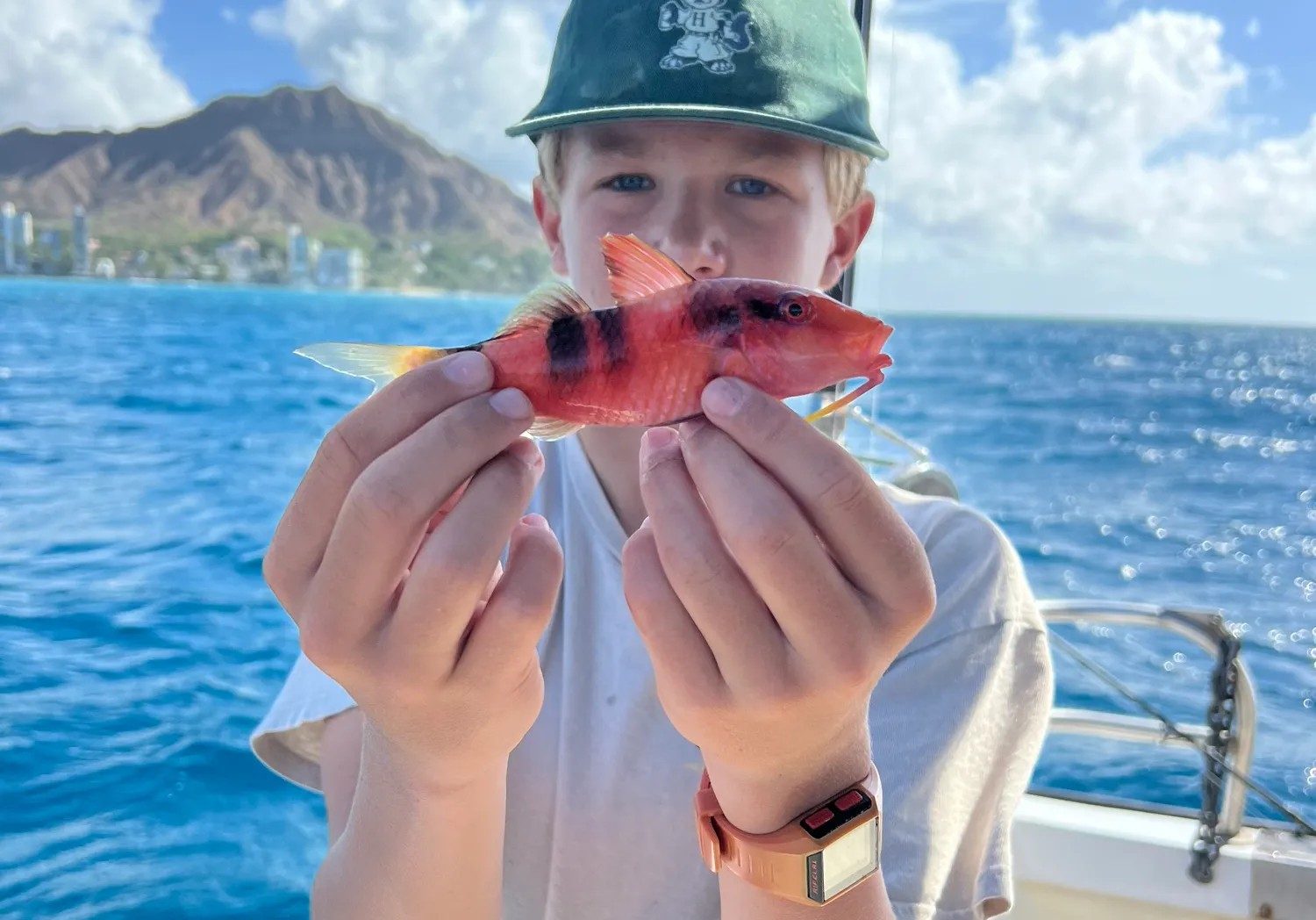 Manybar goatfish