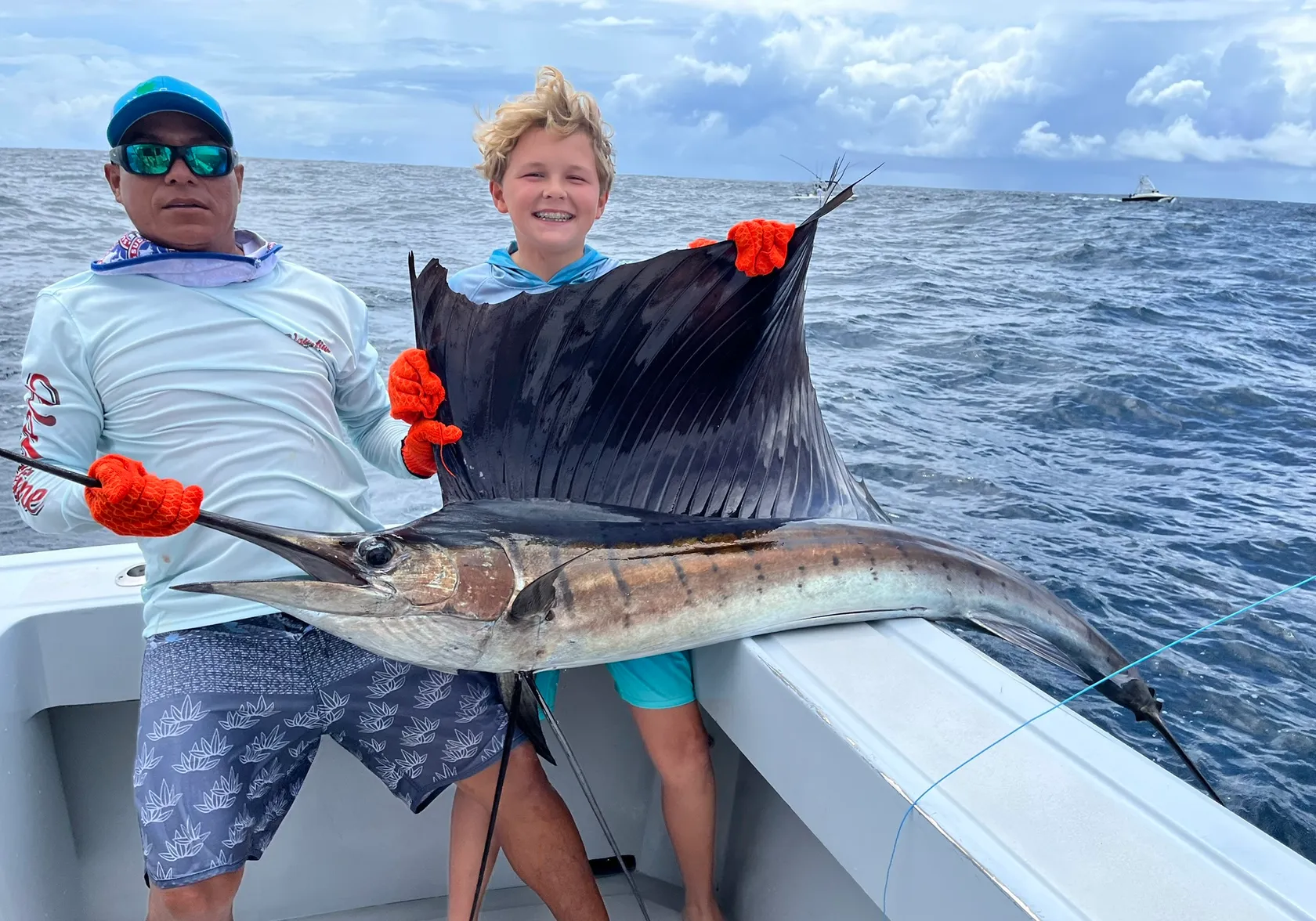 Indo-Pacific sailfish