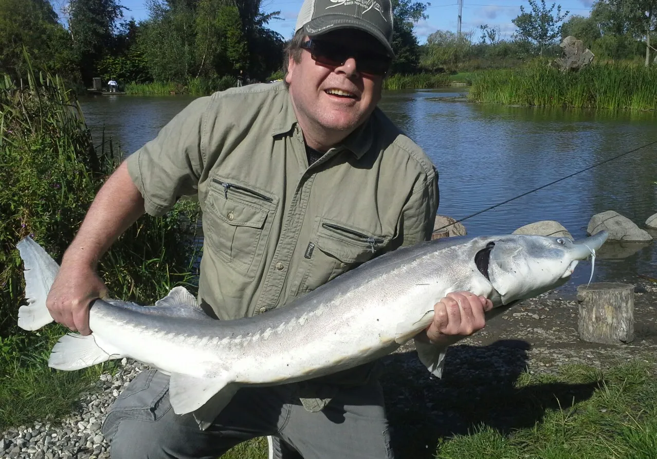 Lake sturgeon