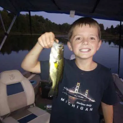 ᐅ Martiny Lake fishing reports🎣• Big Rapids, MI (United States) fishing