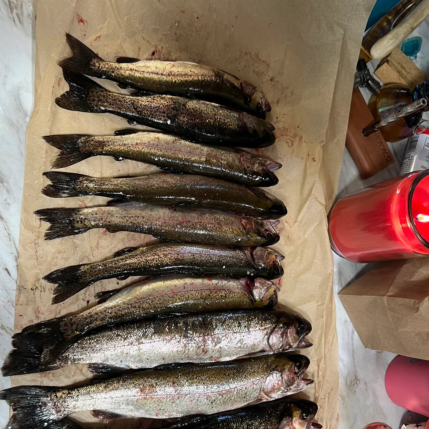 recently logged catches