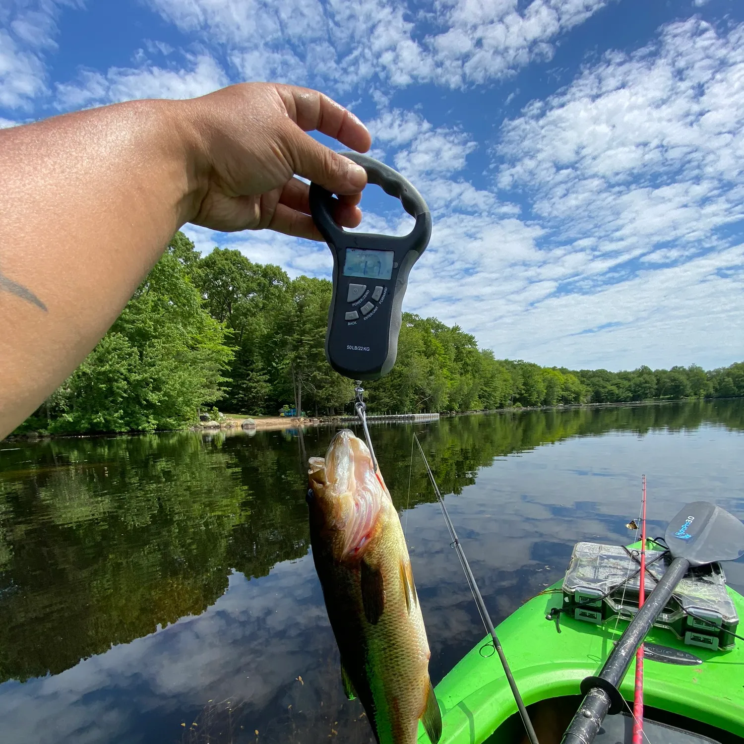 recently logged catches