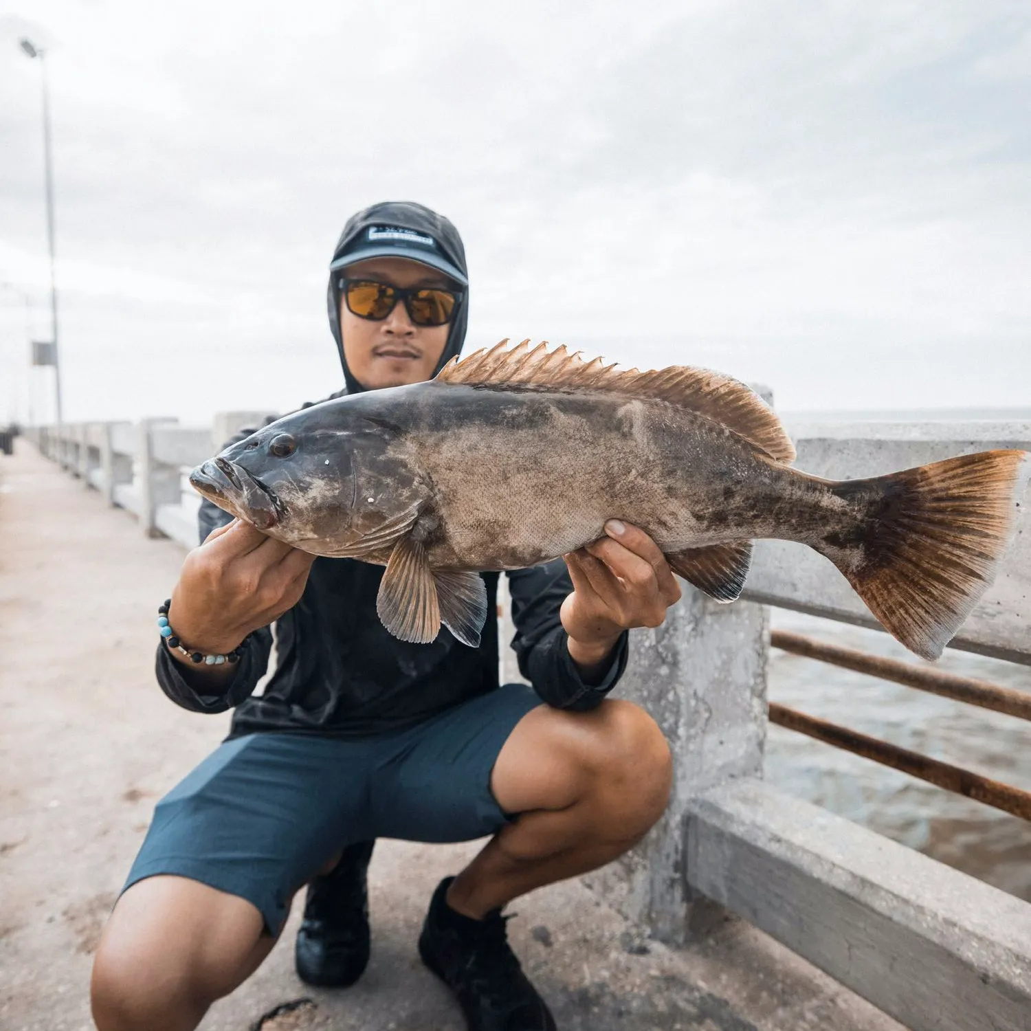 The most popular recent Gag grouper catch on Fishbrain