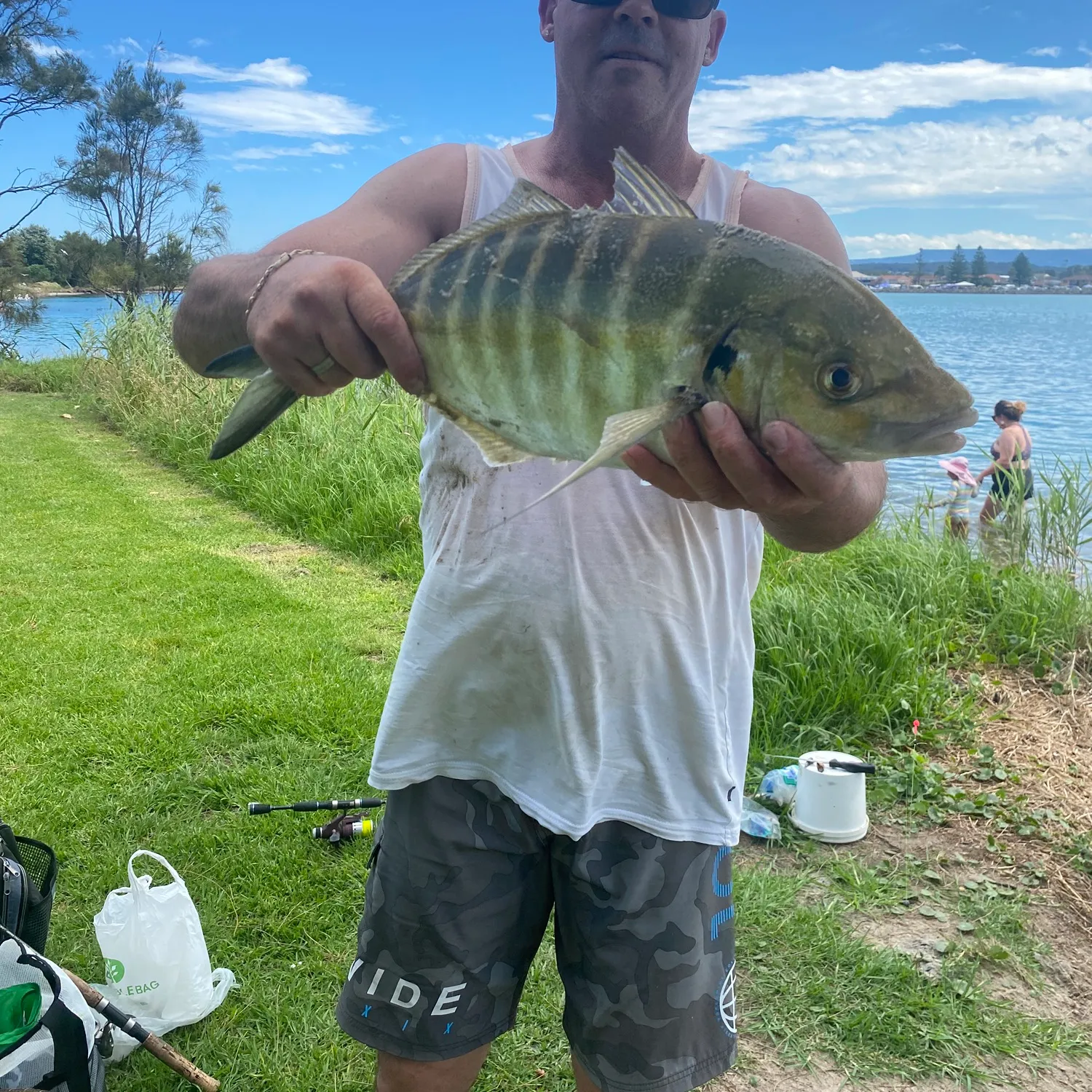 The most popular recent Golden trevally catch on Fishbrain