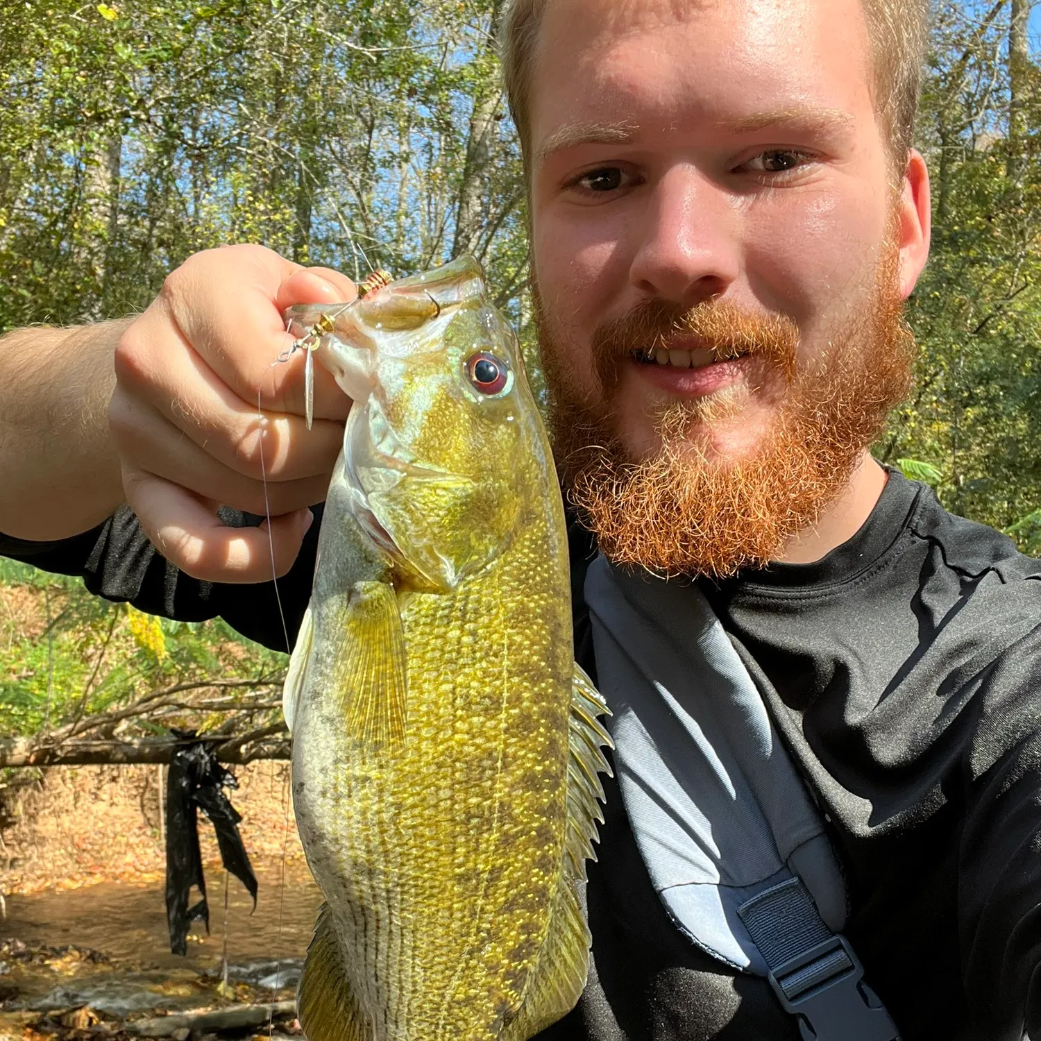 The most popular recent Cahaba Bass catch on Fishbrain