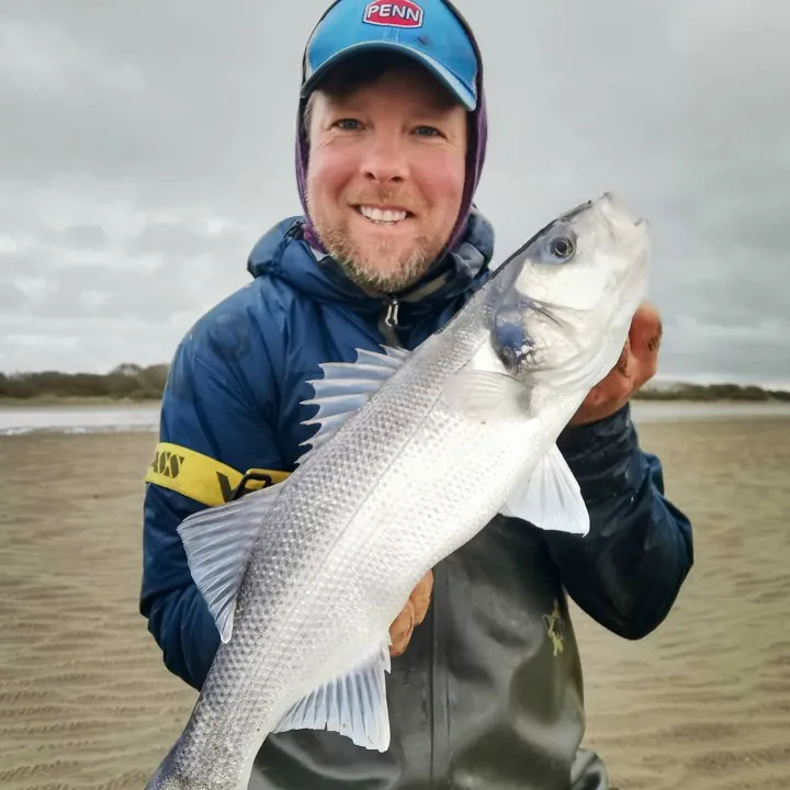 The most popular recent European seabass catch on Fishbrain