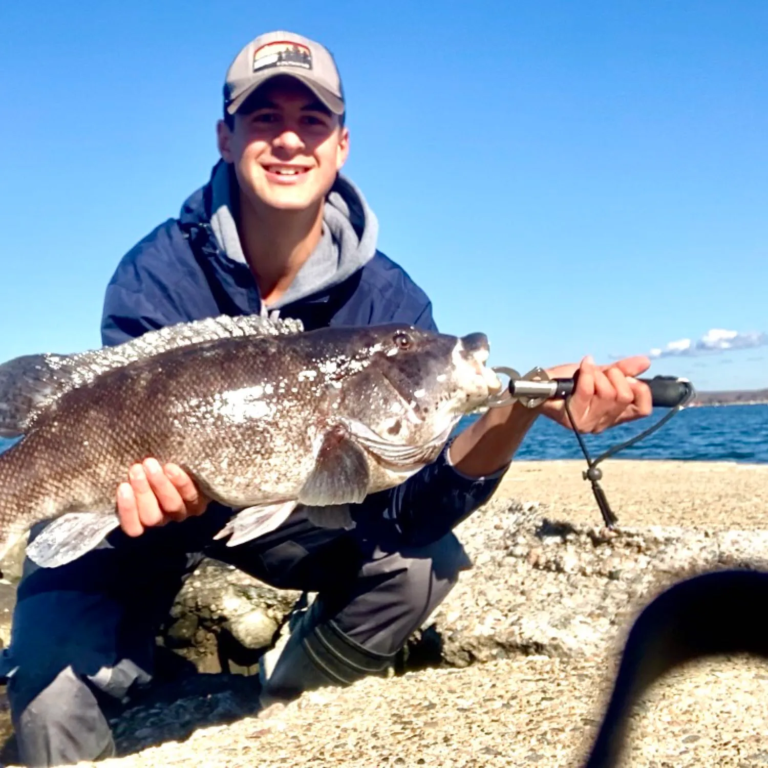 The most popular recent Tautog catch on Fishbrain