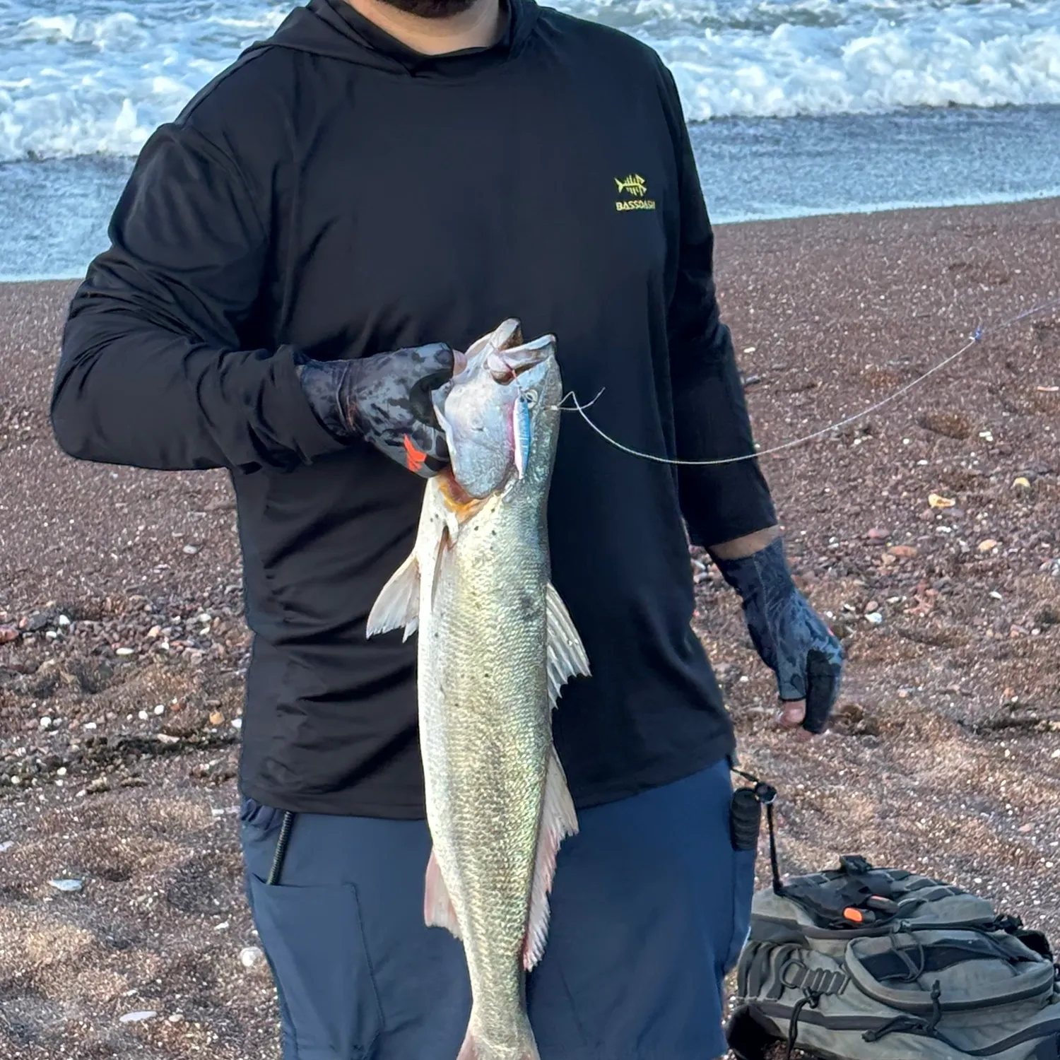 The most popular recent Gulf weakfish catch on Fishbrain