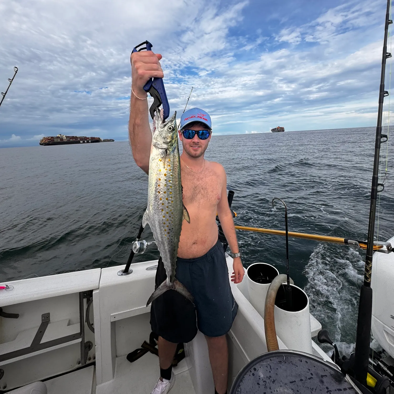 The most popular recent Serra Spanish mackerel catch on Fishbrain