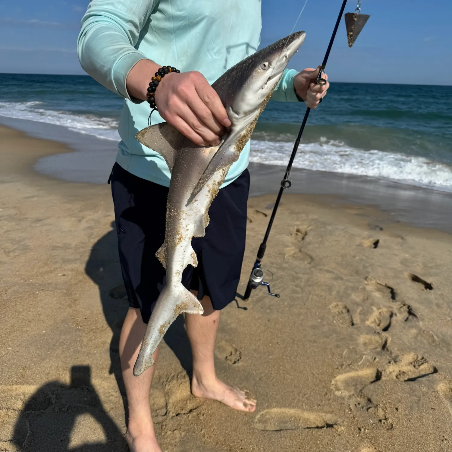 The most popular recent Dusky shark catch on Fishbrain