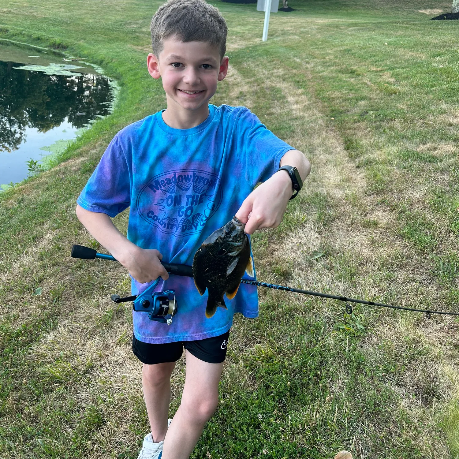 ᐅ Harrisons Brook fishing reports🎣• Bernards, NJ (United States) fishing