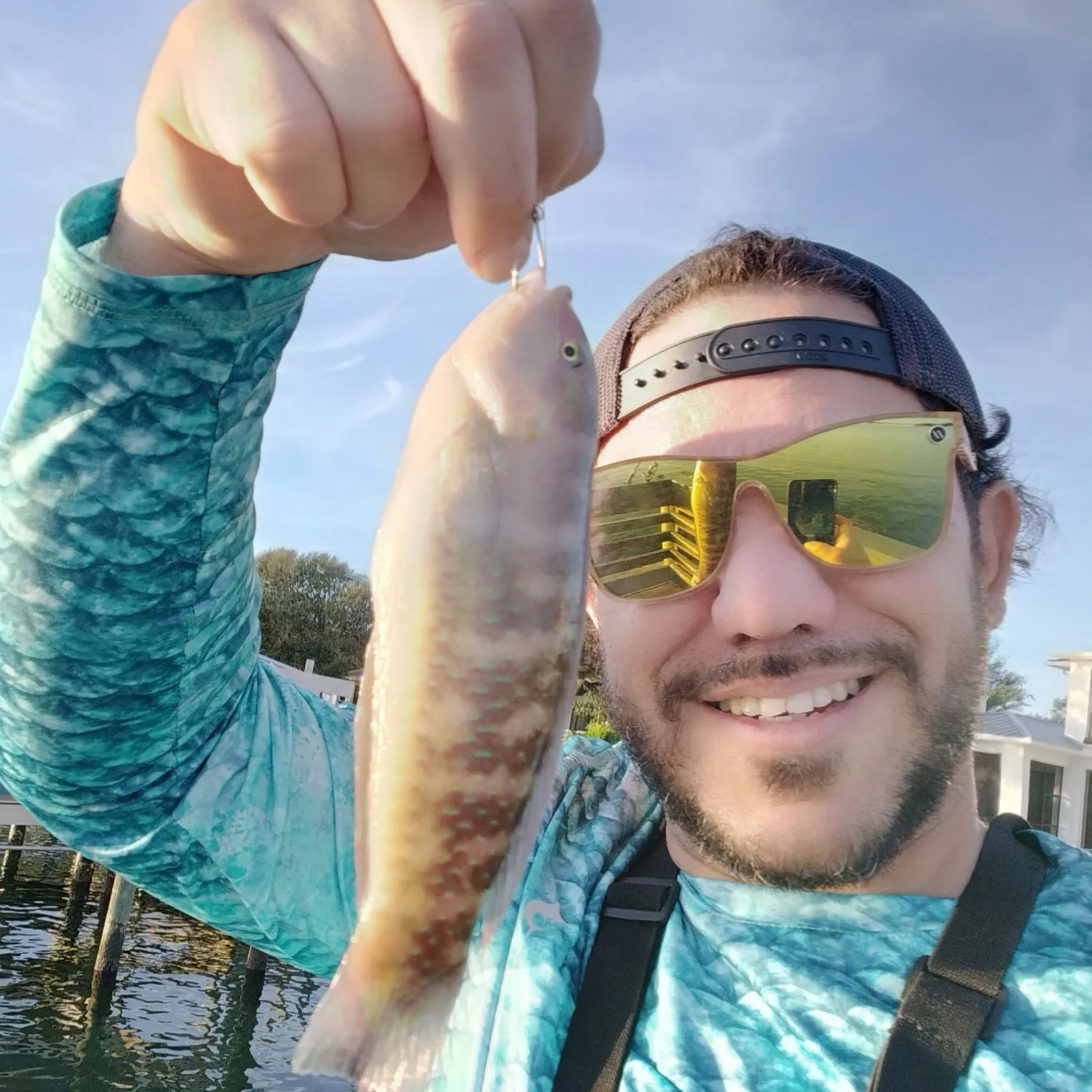 The most popular recent Slippery dick wrasse catch on Fishbrain