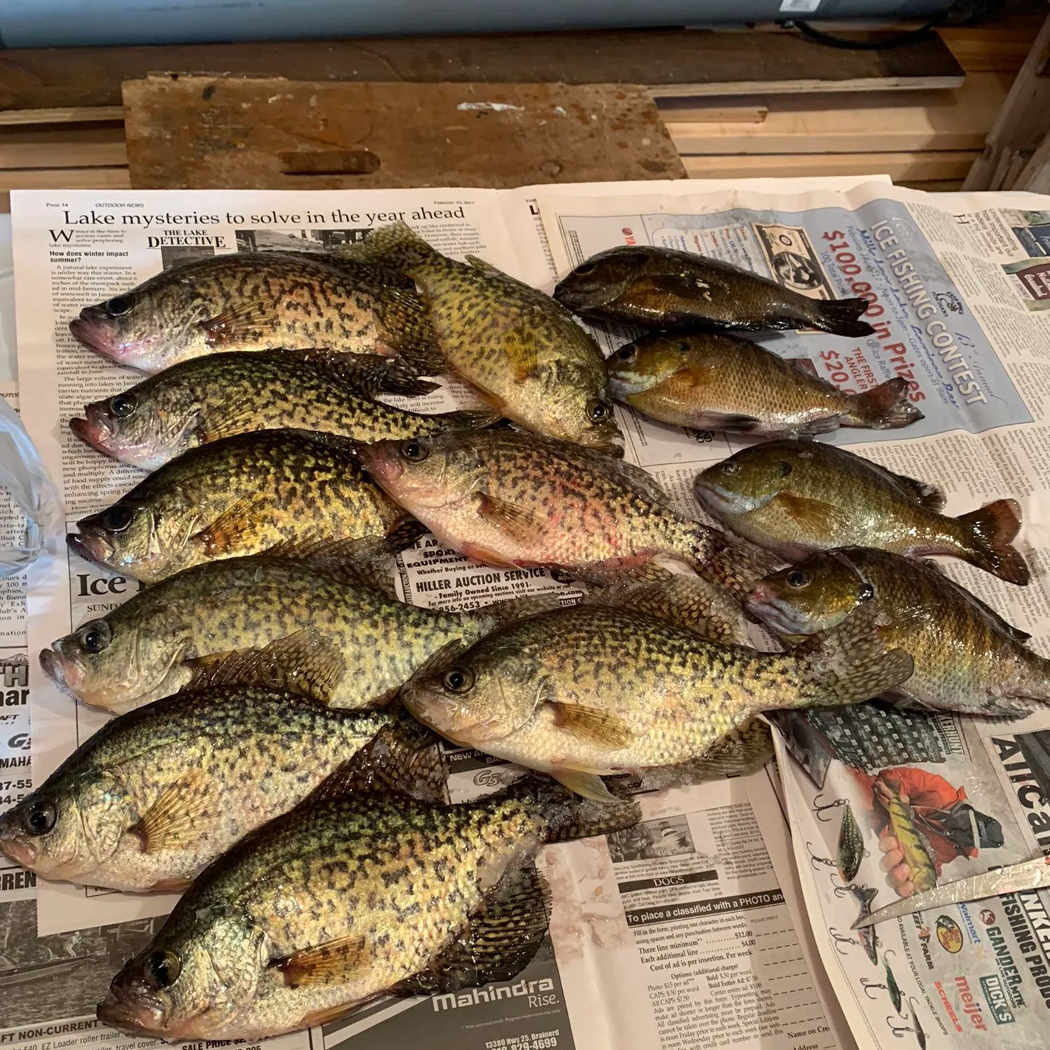 recently logged catches