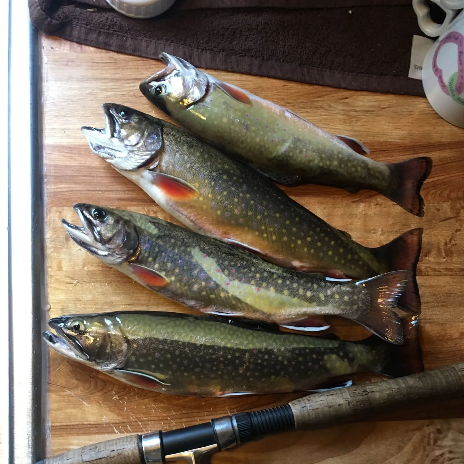 recently logged catches