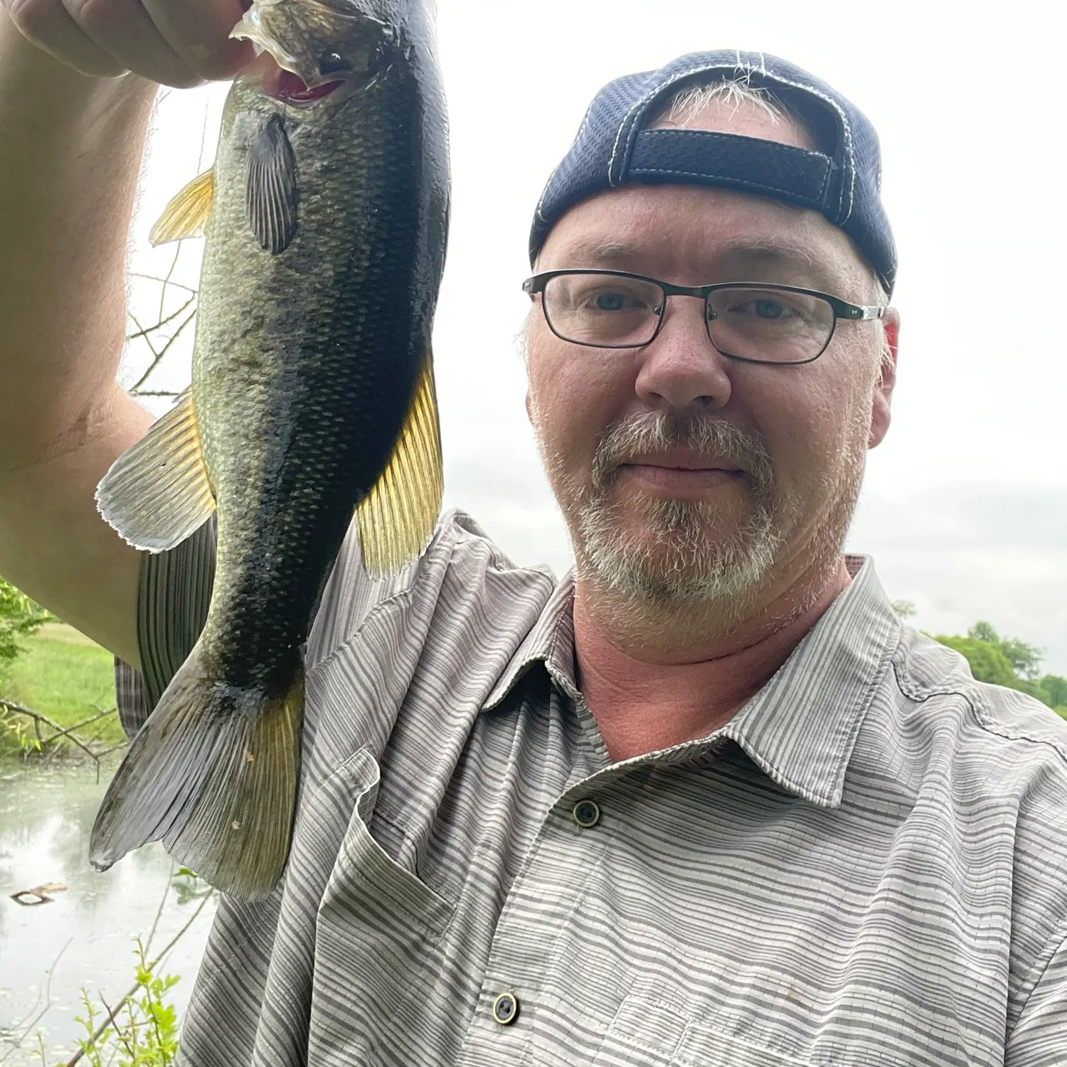 ᐅ Leaser Lake fishing reports🎣• Tamaqua, PA (United States) fishing