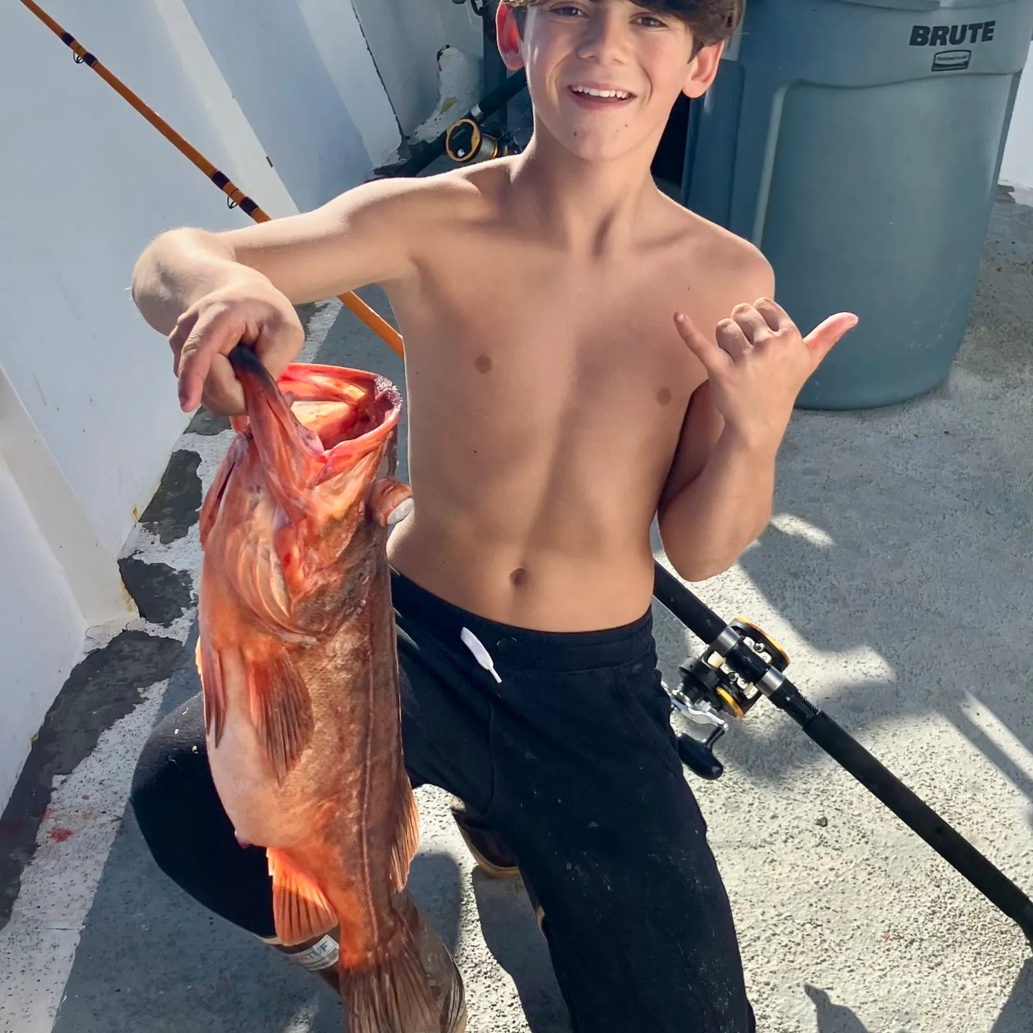 The most popular recent Bocaccio rockfish catch on Fishbrain