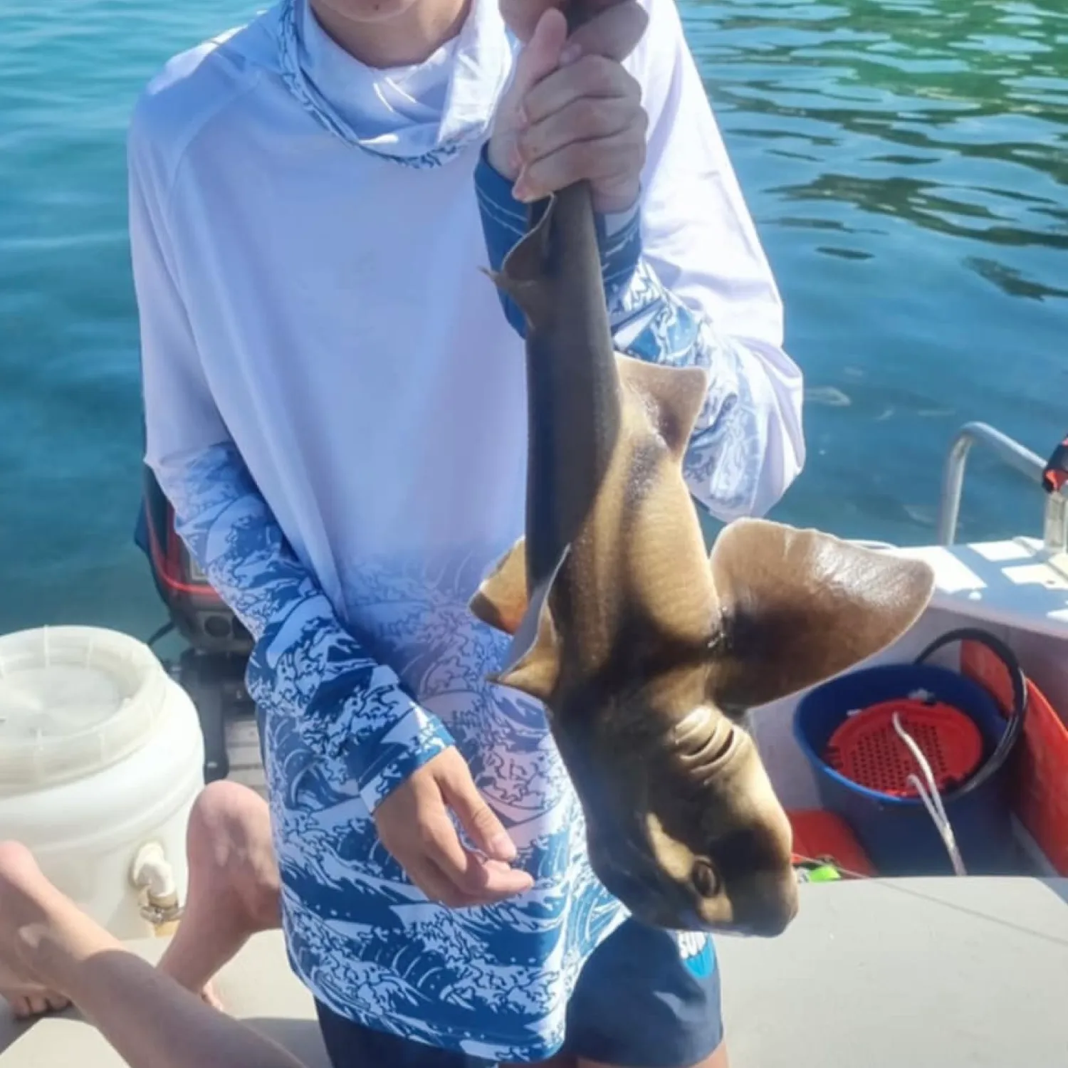 The most popular recent Port Jackson shark catch on Fishbrain