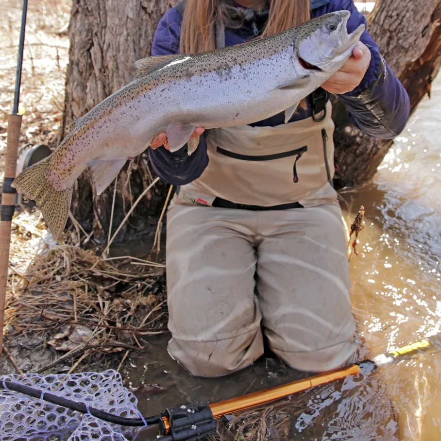 The most popular recent Steelhead catch on Fishbrain