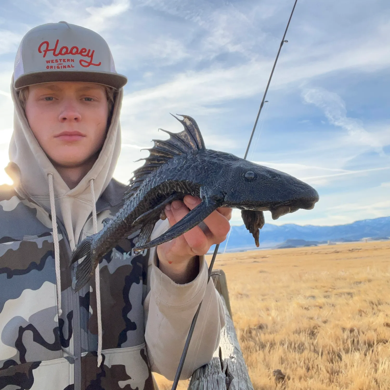 The most popular recent Suckermouth catfish catch on Fishbrain