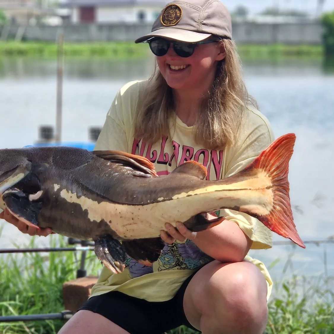 The most popular recent Redtail catfish catch on Fishbrain